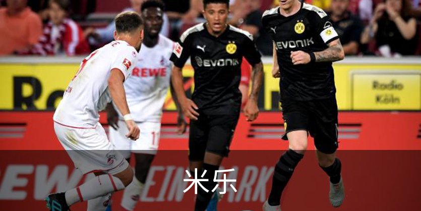 关于米乐